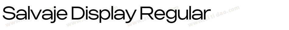 Salvaje Display Regular字体转换